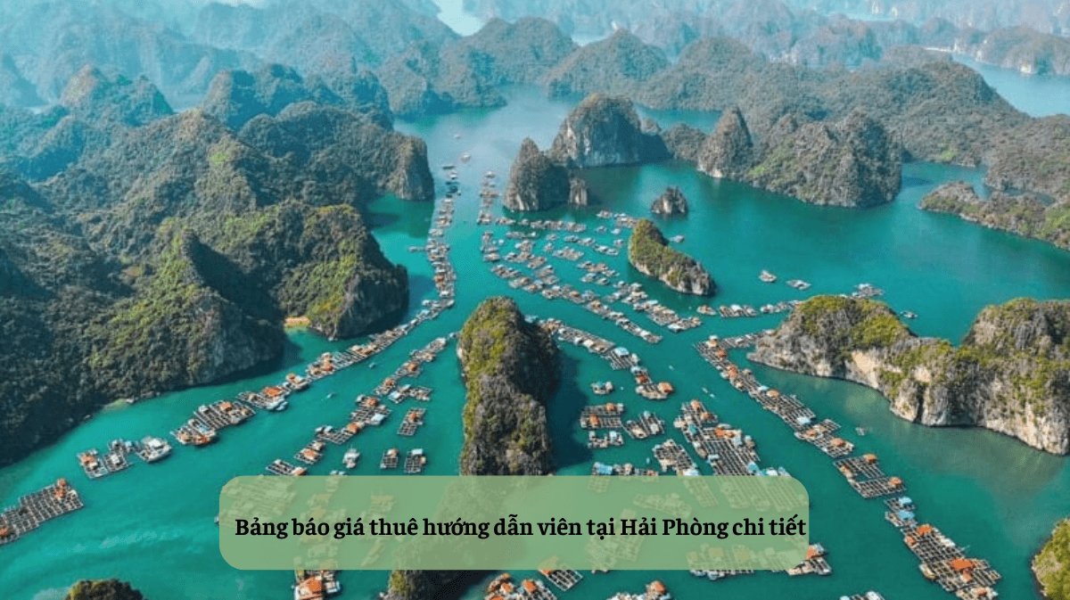 Thuê Hướng Dẫn Viên Tại Hải Phòng giá rẻ HDV Local
