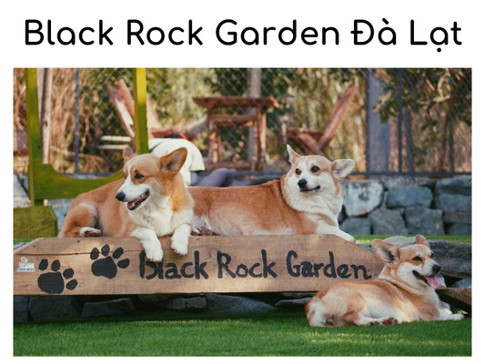 Review Black Rock Garden Đà Lạt - Điểm du lịch cực đáng yêu