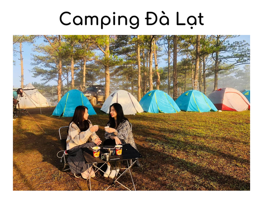 Top 10 Địa Điểm Camping Đà Lạt Cực HOT Nên Đến Một Lần Trong Đời