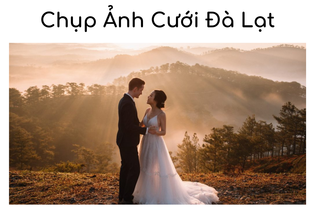 Những Địa Điểm Chụp Ảnh Cưới Đà Lạt Đẹp Không Thể Bỏ Lỡ