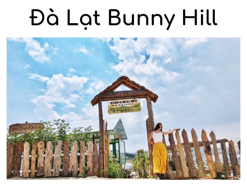 Đà Lạt Bunny Hill Farm & Homestay điểm du lịch "nóng" cho hội yêu động vật