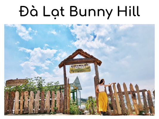 Đà Lạt Bunny Hill Farm & Homestay điểm du lịch "nóng" cho hội yêu động vật