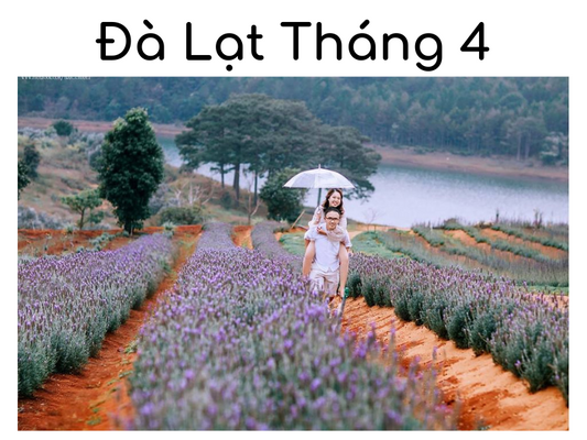 Có nên đi du lịch Đà Lạt Tháng 4 không