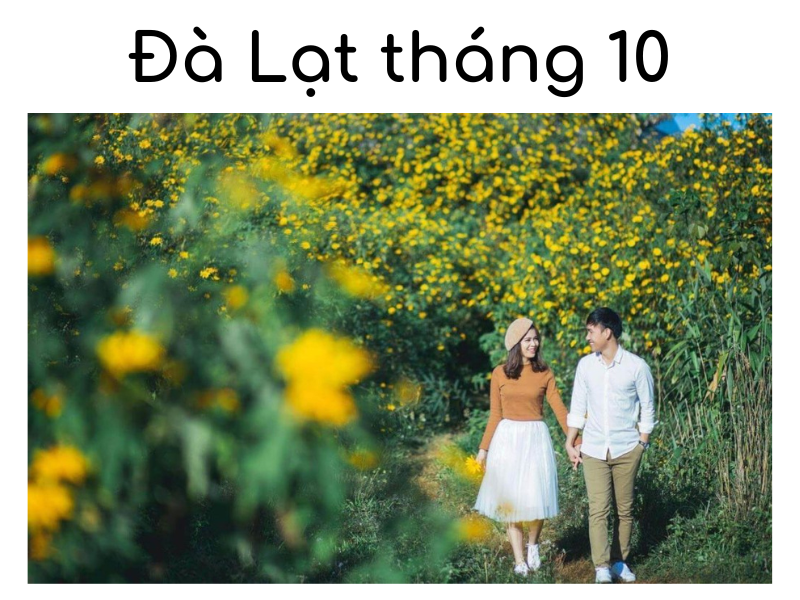 Du lịch Đà Lạt tháng 10 có gì vui?