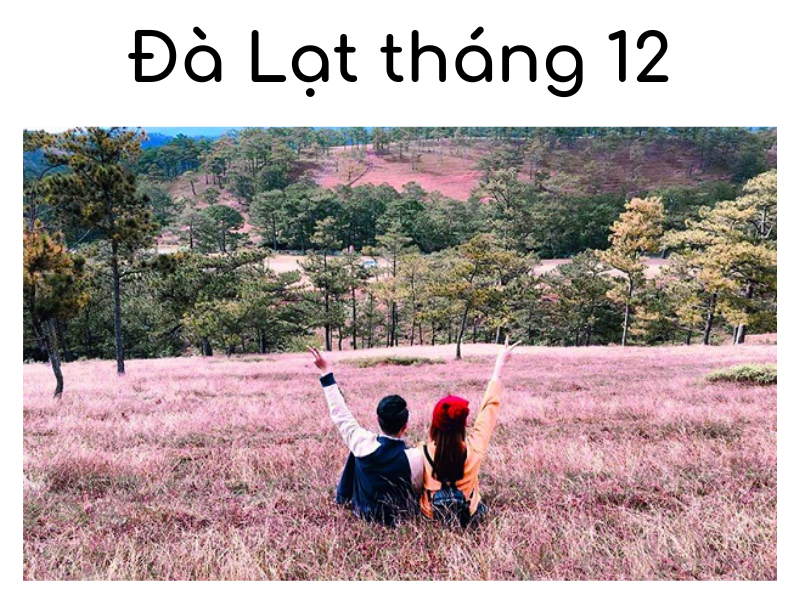 Đi du lịch Đà Lạt tháng 11 có gì?