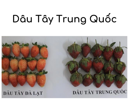 Hướng Dẫn Cách Phân Biệt Giữa Dâu Tây Đà Lạt Và Dâu Tây Trung Quốc