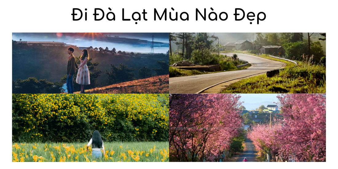 Đi Đà Lạt Mùa Nào Đẹp Nhất? Chia Sẻ Kinh Nghiệm Đi Đà Lạt