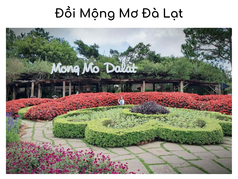 Đồi Mộng Mơ Đà Lạt - Khu du lịch nổi tiếng mơ mộng như tên gọi