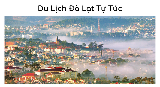 Du Lịch Đà Lạt Tự Túc Chi Phí Như Thế Nào? Bỏ Túi Ngay Cẩm Nang Sau Nhé