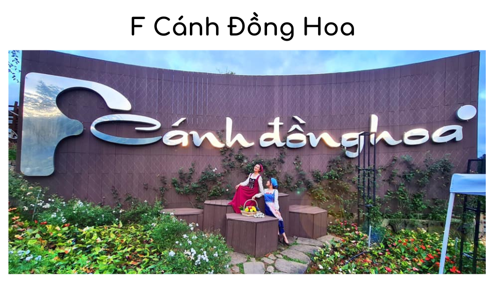 Review quán cà phê F Cánh Đồng Hoa: thiên đường hoa