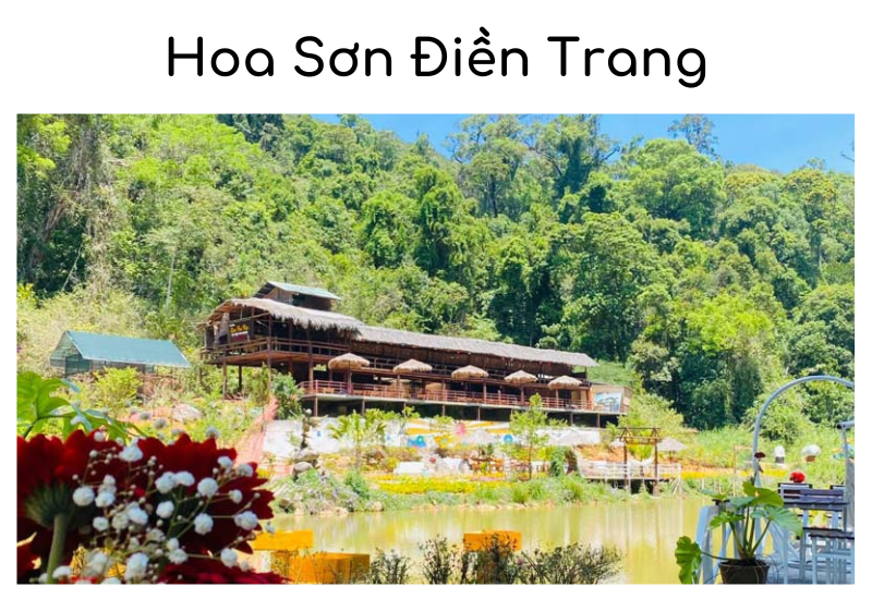 Hoa Sơn Điền Trang: điểm check in hấp dẫn nhất Đà Lạt