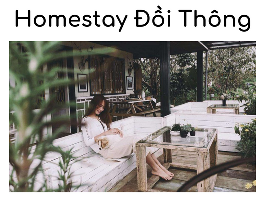 Du lịch Đà Lạt với TOP 10 Homestay Đồi Thông có view đẹp nhất