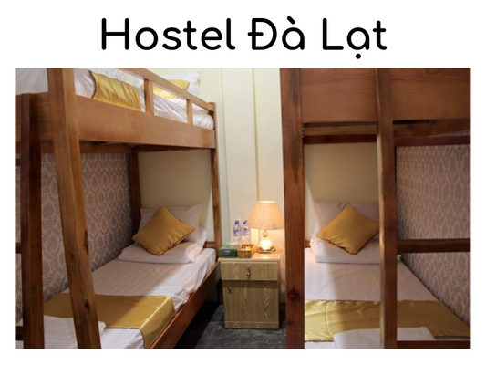 Top 10 Hostel Đà Lạt uy tính và chất lượng