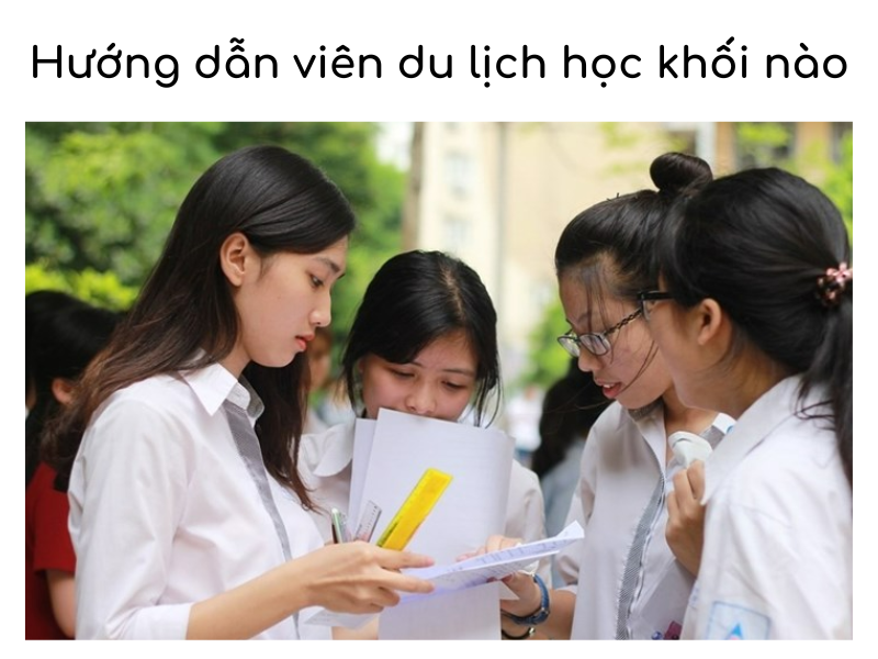 Hướng dẫn viên du lịch học khối nào? Cẩm nang chọn ngành cho tương lai