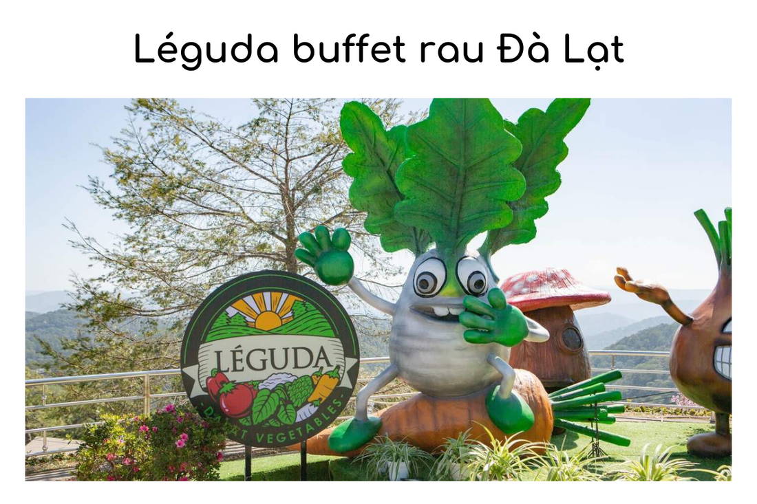 Review nhà hàng Léguda buffet rau Đà Lạt - thiên đường của rau củ Đà Lạt