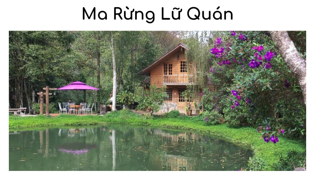 Ma Rừng Lữ Quán Đà Lạt -  chốn thiên nhiên ma mị đầy sức hút