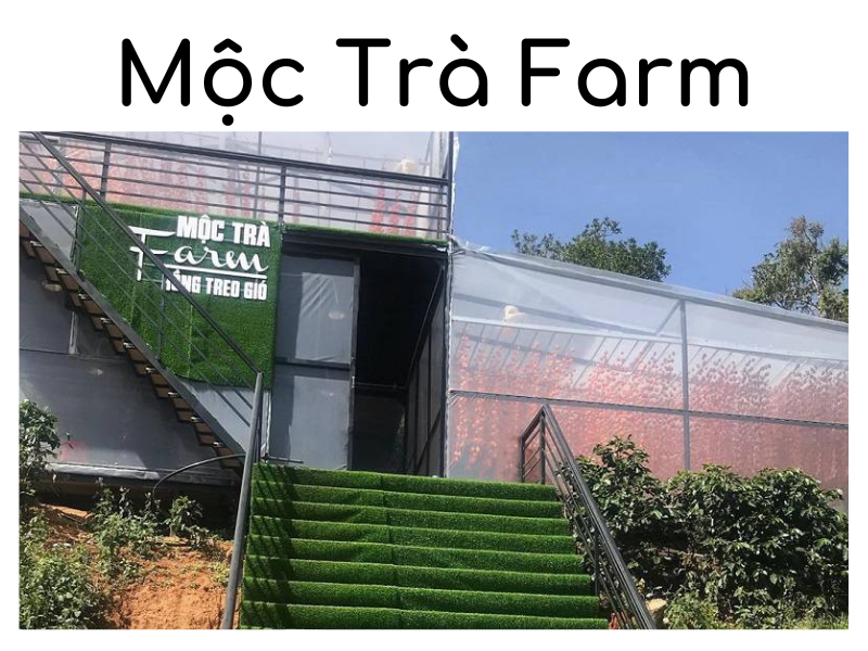 Review quán cafe Mộc Trà Farm Đà Lạt