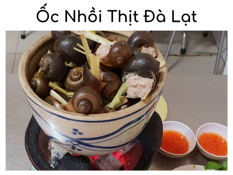 Top 3 Quán Ốc Nhồi Thịt Đà Lạt Ngon Nhất Không Thể Bỏ Qua