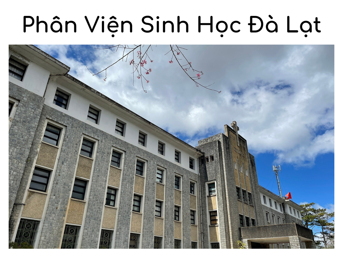 Phân Viện Sinh Học Đà Lạt - Điểm Du Lich "Sống Ảo' Không Thể Bỏ Qua