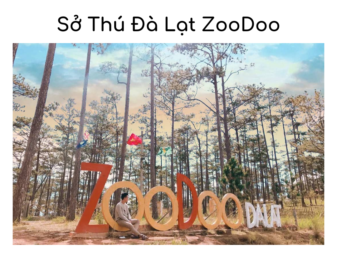 Sở Thú Đà Lạt ZooDoo - Khu Vườn Nổi Tiếng Với Những Người Bạn Lông lá