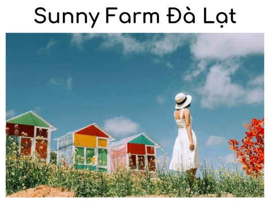 Review Sunny Farm Đà Lạt nông trại HOT nhất tại Đà Lạt