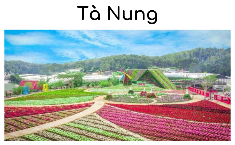 Review thung lũng hoa Tà Nung Đà Lạt - đẹp tựa cổ tích với vô vàn loại hoa