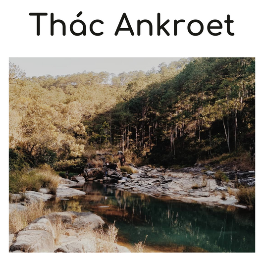 Review Thác Ankroet: Điểm Du Lịch Lý Tưởng Tại Đà Lạt