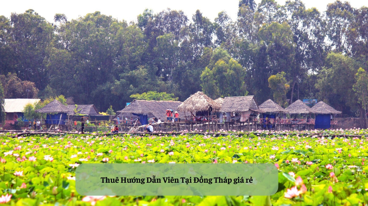 📍 Thuê Hướng Dẫn Viên Tại Đồng Tháp: Trải Nghiệm Miền Tây Sông Nước Đầy Hương Sắc