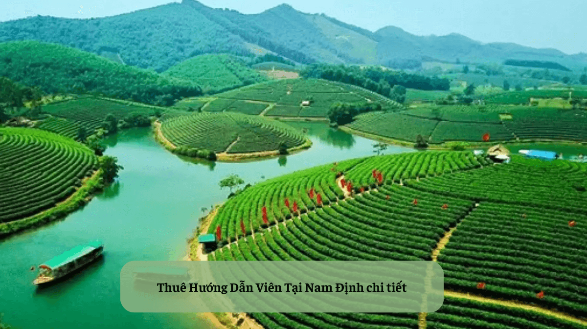 Thuê Hướng Dẫn Viên Tại Nghệ An: Bí Kíp Khám Phá Trọn Vẹn Xứ Nghệ Cùng Chuyên Gia Địa Phương