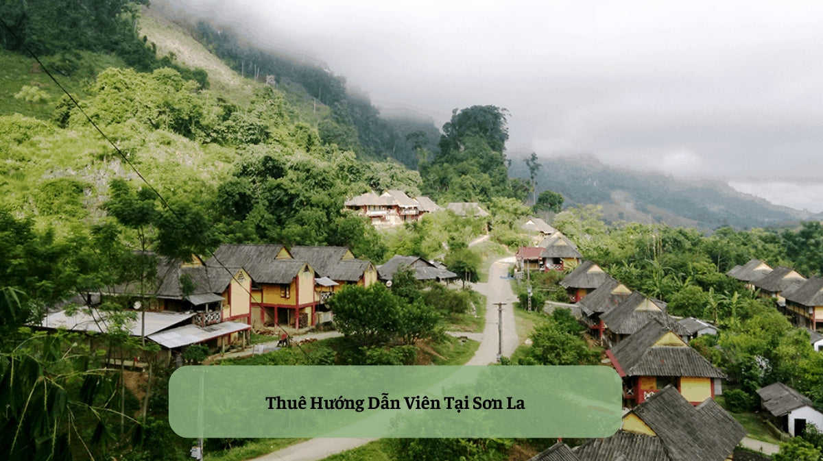 Thuê Hướng Dẫn Viên Tại Sơn La: Mở Cánh Cửa Khám Phá Vùng Cao Tây Bắc Hùng Vĩ