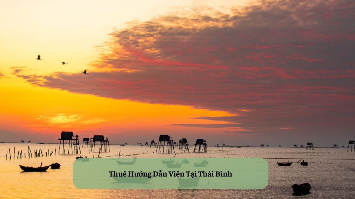 Thuê Hướng Dẫn Viên Tại Thái Bình: Mở Cánh Cửa Khám Phá Vùng Đất Di Sản Trọn Vẹn