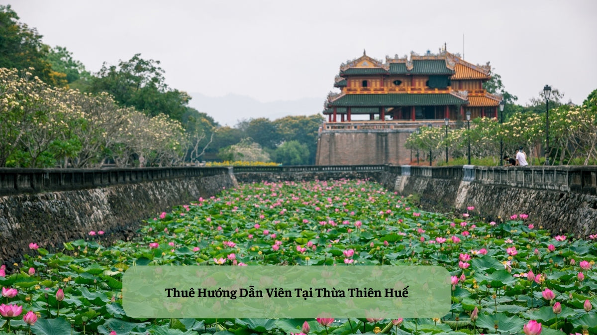 Thuê Hướng Dẫn Viên Tại Huế: Giải Pháp Du Lịch Tự Túc Hoàn Hảo