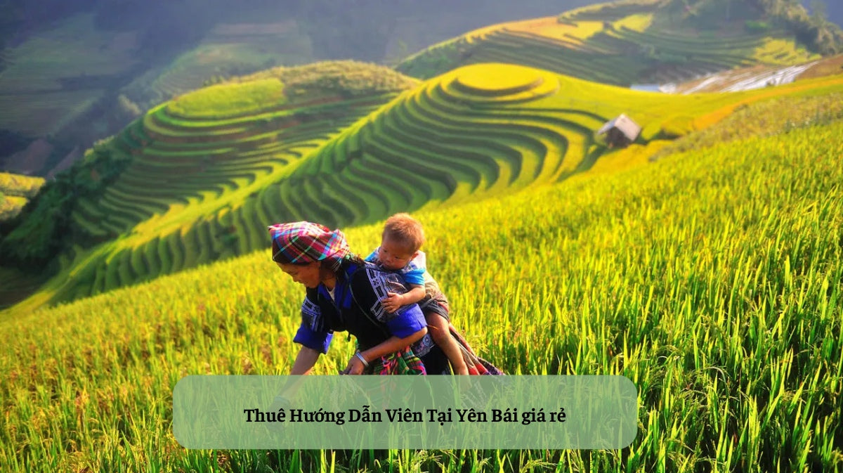 Thuê Hướng Dẫn Viên Tại Yên Bái: Trọn Vẹn Hành Trình Khám Phá Vẻ Đẹp Tây Bắc Hùng Vĩ và Văn Hóa Đa Dạng! 📍