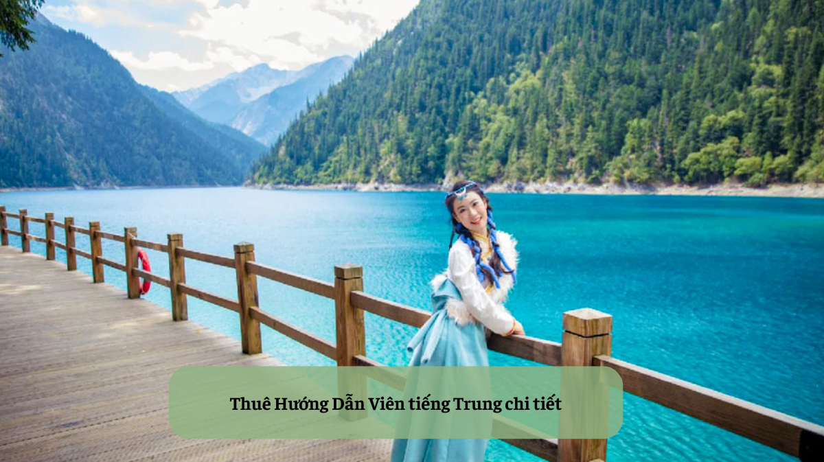 Du Lịch Việt Nam Trọn Vẹn Cùng Cầu Nối Ngôn Ngữ: Tại Sao Nên Thuê Hướng Dẫn Viên tiếng Trung?