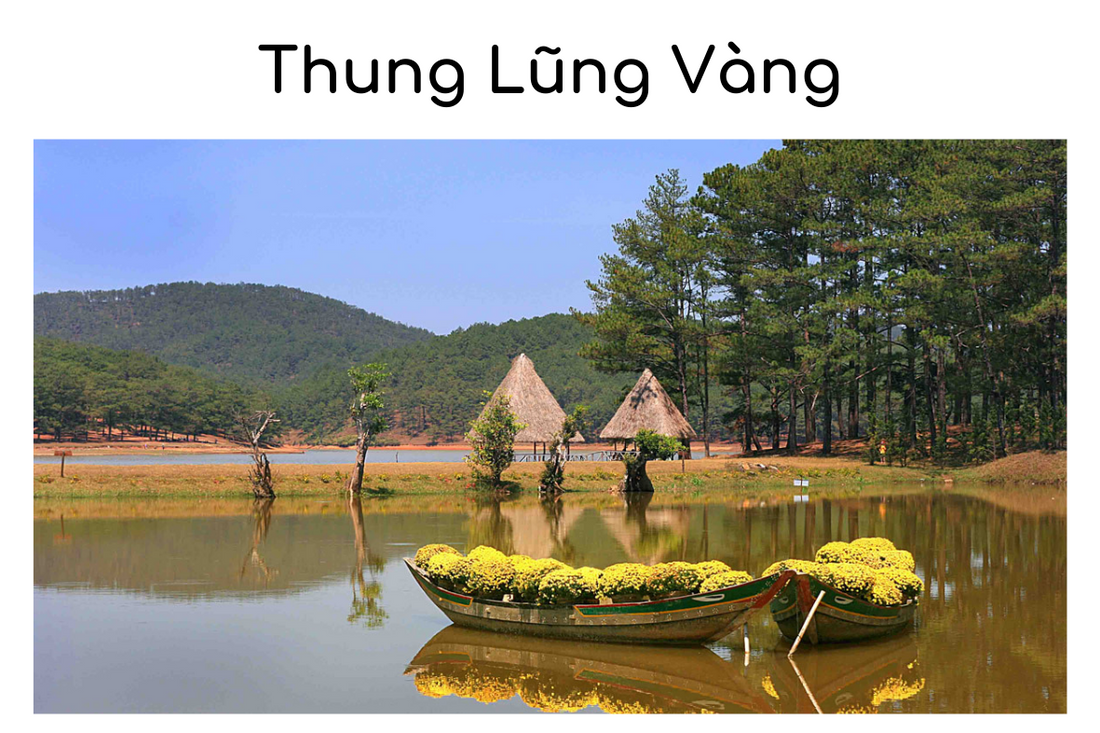 Thung Lũng Vàng Đà Lạt: Bí ẩn của Vẻ Đẹp Thiên Nhiên của thành phố sương mù