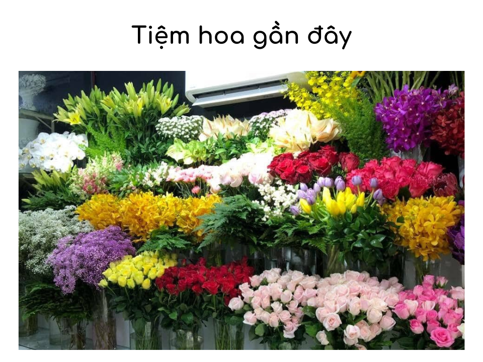 Top 10 tiệm hoa gần đây - Đà Lạt nổi tiếng không thể bỏ qua