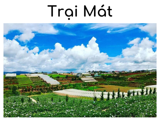 Trại Mát Đà Lạt -  Bỏ Túi Ngay Những Kinh Nghiệm Khi Tham Quan Ngay