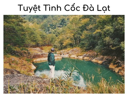 Review Tuyệt Tình Cốc Đà Lạt - Check In Với Vẻ Đẹp Hùng Vĩ Của Rừng Núi