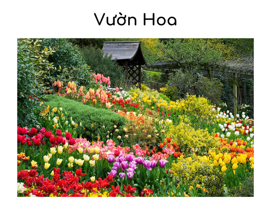 Top 14 vườn hoa của "xứ ngàn hoa" Đà Lạt không thể bỏ qua