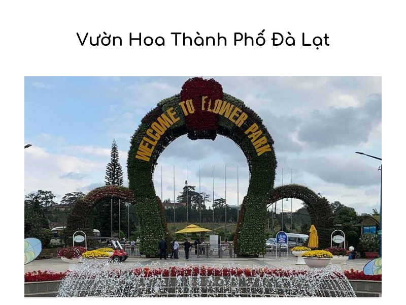 Vườn Hoa Thành Phố Đà Lạt: Thiên Đường Hoa Giữa Lòng Thành Phố