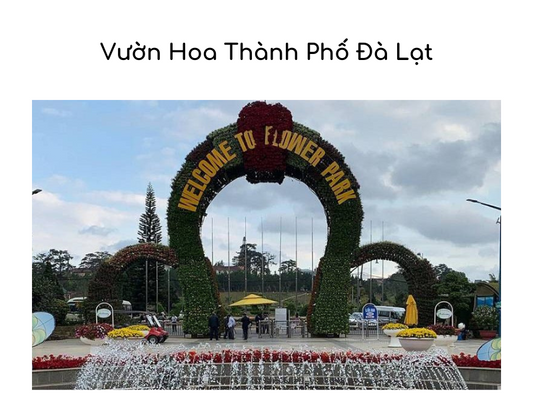 Vườn Hoa Thành Phố Đà Lạt: Thiên Đường Hoa Giữa Lòng Thành Phố