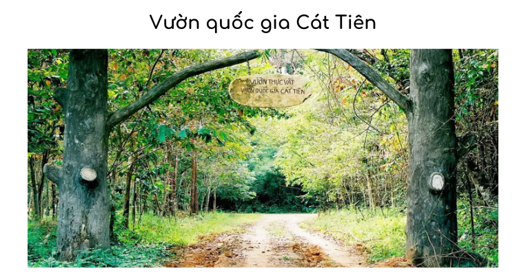 Vườn quốc gia Cát Tiên - vùng đất xanh mát nhất Việt Nam