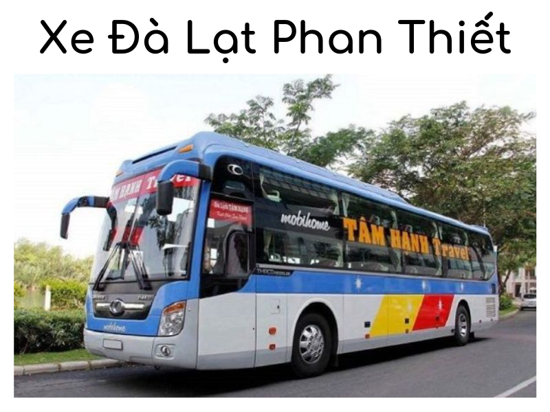 Top 4 nhà xe Đà Lạt Phan Thiết uy tính và chất lượng