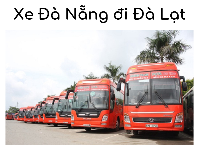 Top 8 nhà xe Đà Nẵng đi Đà Lạt uy tính và chất lượng