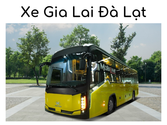 Những thông tin mới nhất về nhà xe Gia Lai Đà Lạt 2024