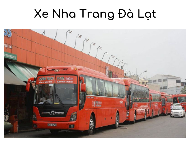 Top 9 Xe Nha Trang Đà Lạt HOT nhất