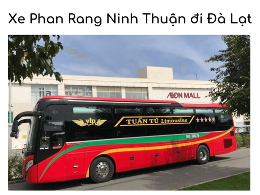 Top 5 nhà xe Phan Rang Ninh Thuận đi Đà Lạt chất lượng