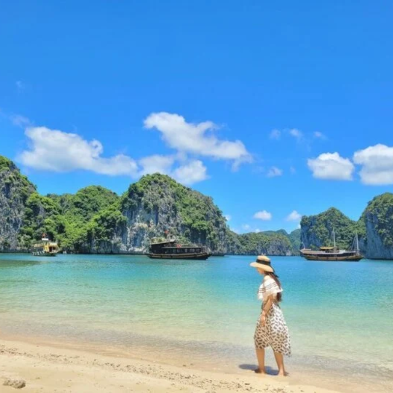 Tour Guide Cát Bà