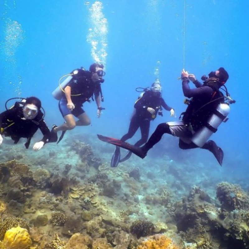 Tour Duyên Hải Nam Trung Bộ