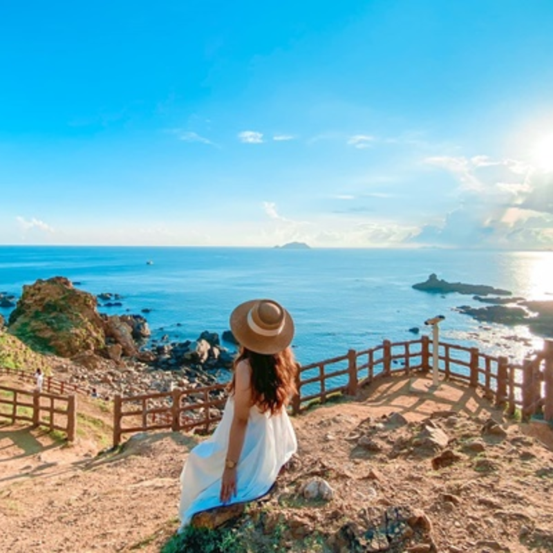 Tour Guide Bình Định